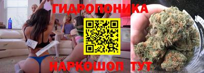 мдпв Ставрополь