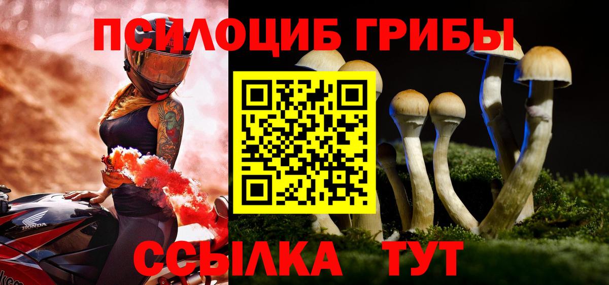 Галлюциногенные грибы MAGIC MUSHROOMS Нальчик